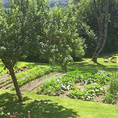 L'Ourserie Bed & Breakfast Saint-Paul-en-Chablais Esterno foto