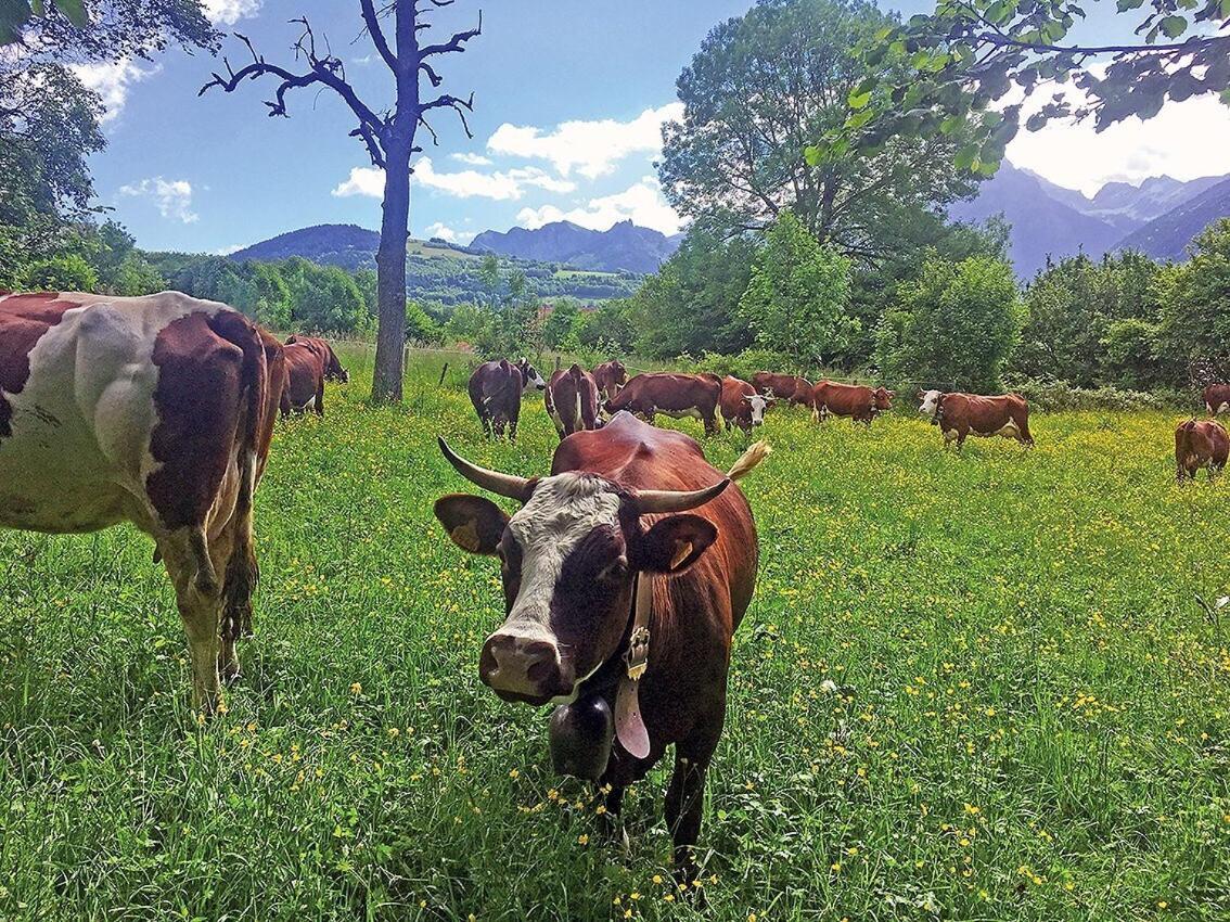 L'Ourserie Bed & Breakfast Saint-Paul-en-Chablais Camera foto